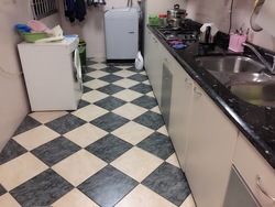 Blk 260B Sengkang East Way (Sengkang), HDB 5 Rooms #163895472